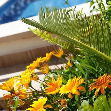 Semper - Heated Pool Apartment *